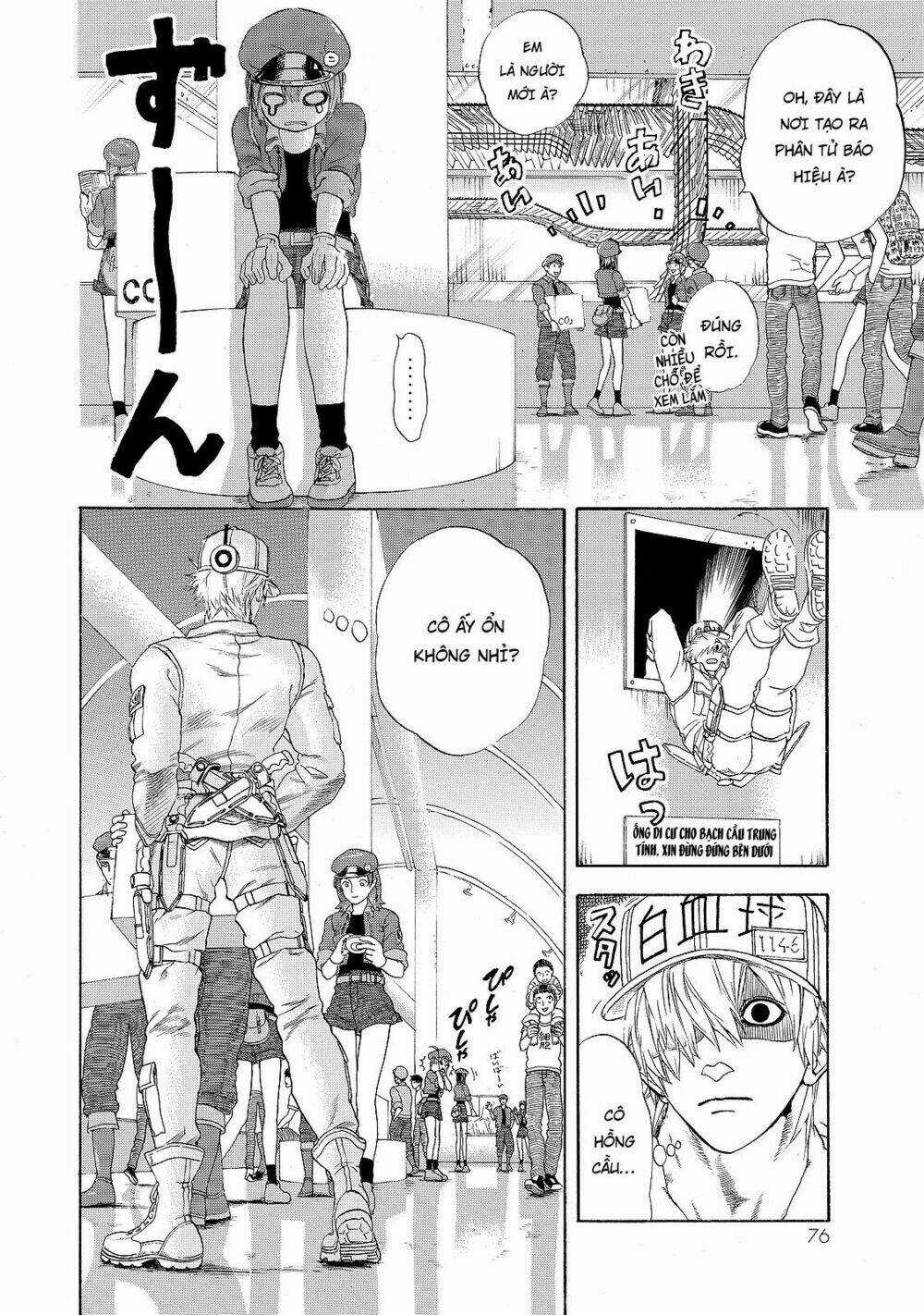 Hataraku Saibou! - Chapter 17 - Trang 11