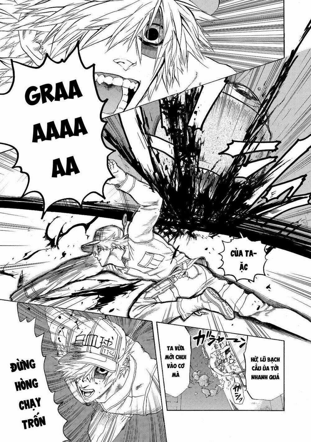 Hataraku Saibou! - Chapter 17 - Trang 21