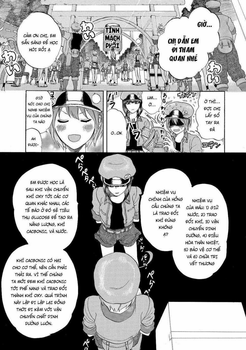 Hataraku Saibou! - Chapter 17 - Trang 5