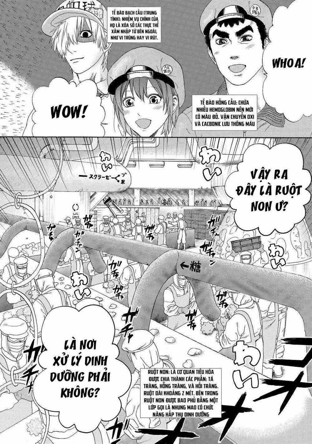Hataraku Saibou! - Chapter 19 - Trang 2