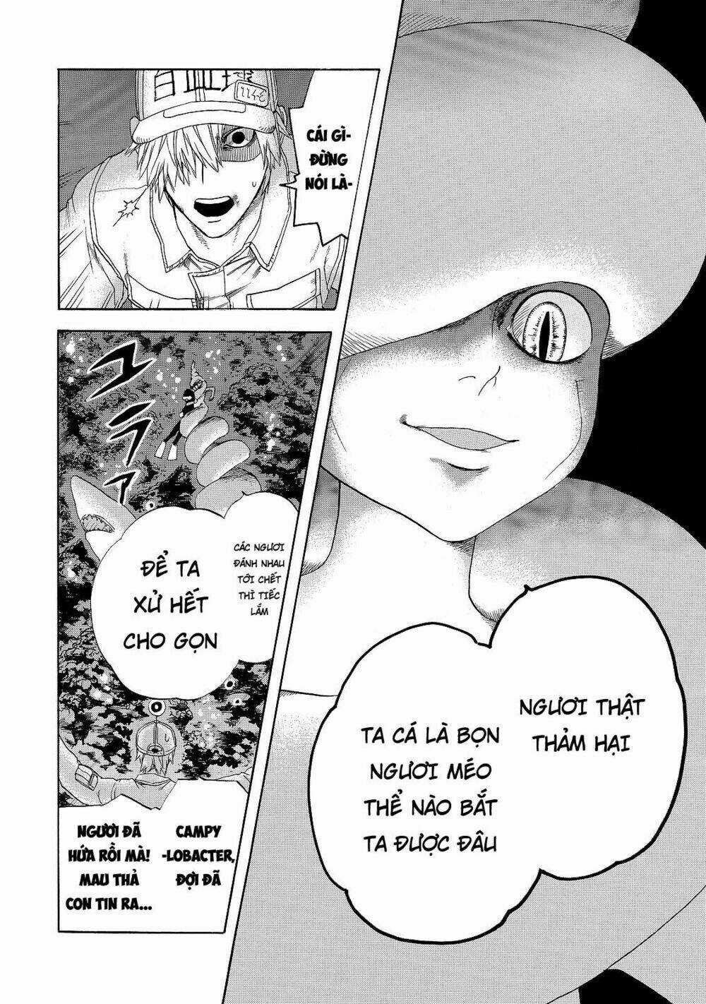 Hataraku Saibou! - Chapter 19 - Trang 14