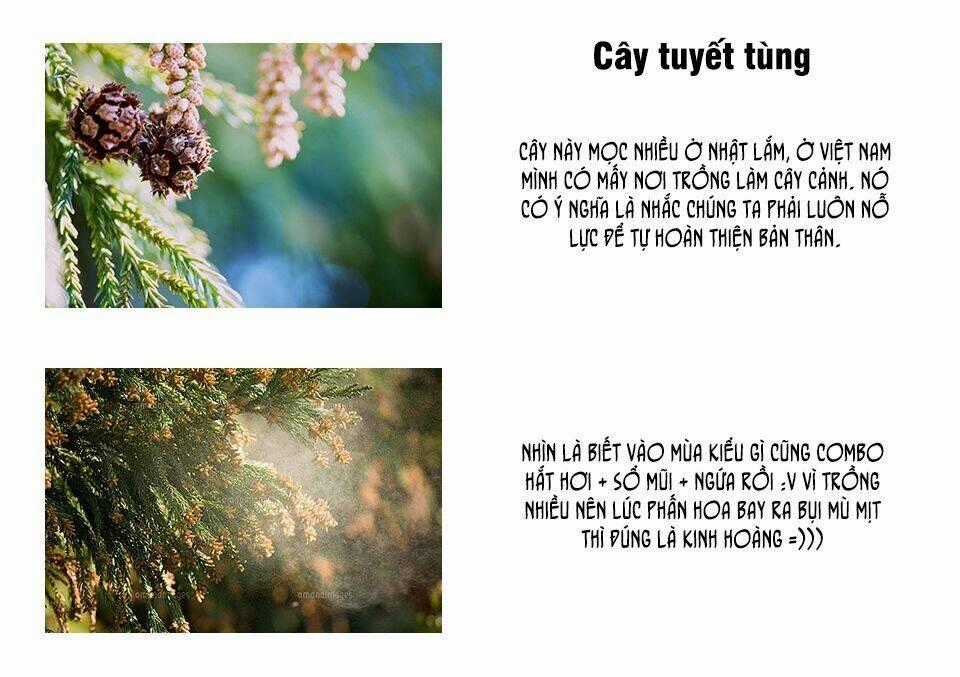 Hataraku Saibou! - Chapter 2 - Trang 45