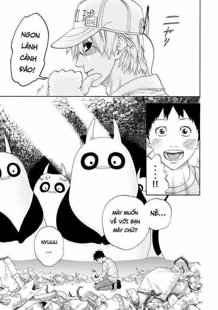 Hataraku Saibou! - Chapter 20 - Trang 42