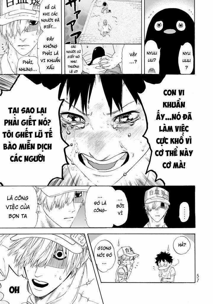 Hataraku Saibou! - Chapter 21 - Trang 13