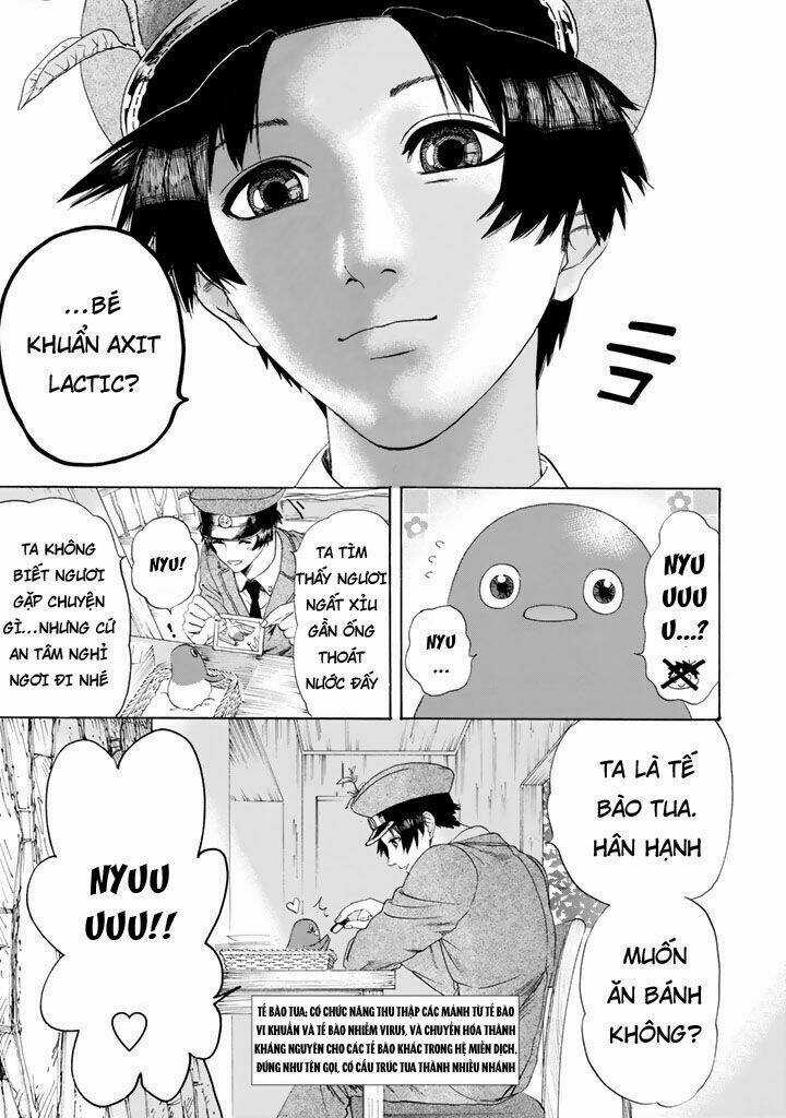 Hataraku Saibou! - Chapter 21 - Trang 17