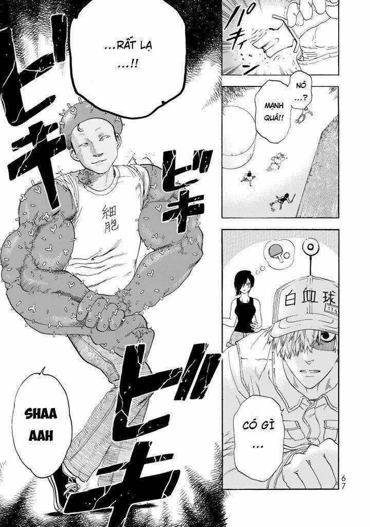 Hataraku Saibou! - Chapter 21 - Trang 23