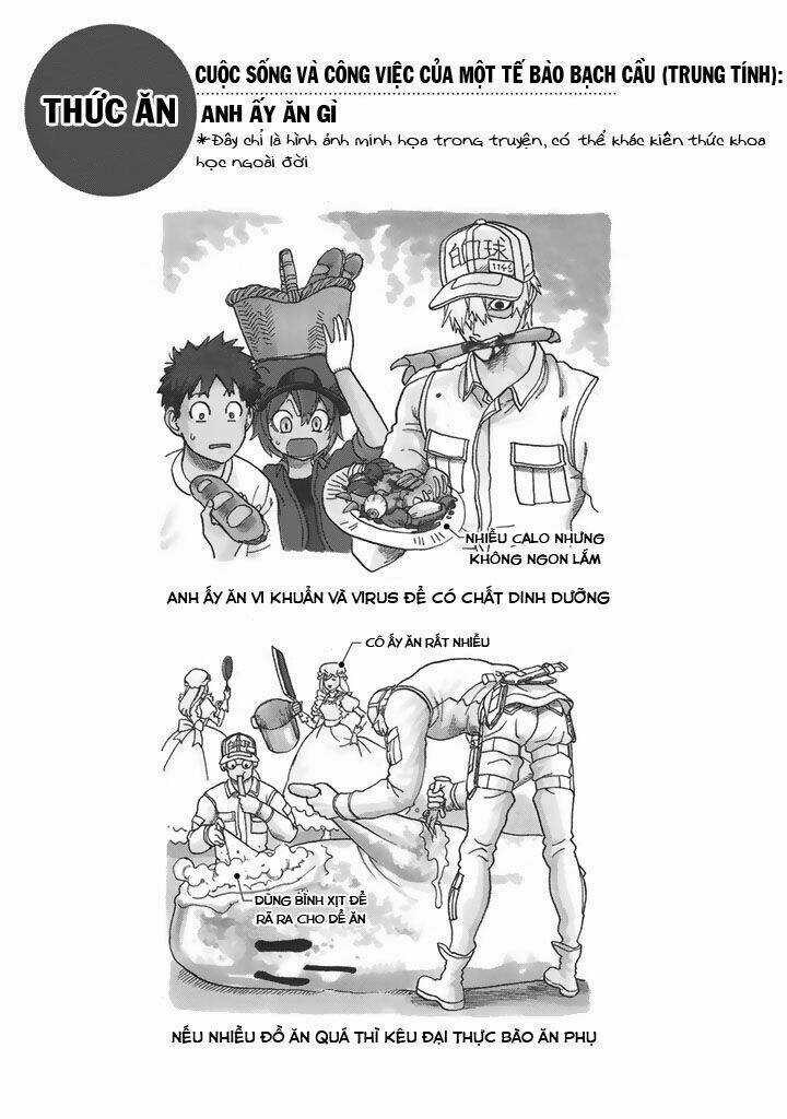 Hataraku Saibou! - Chapter 21 - Trang 29