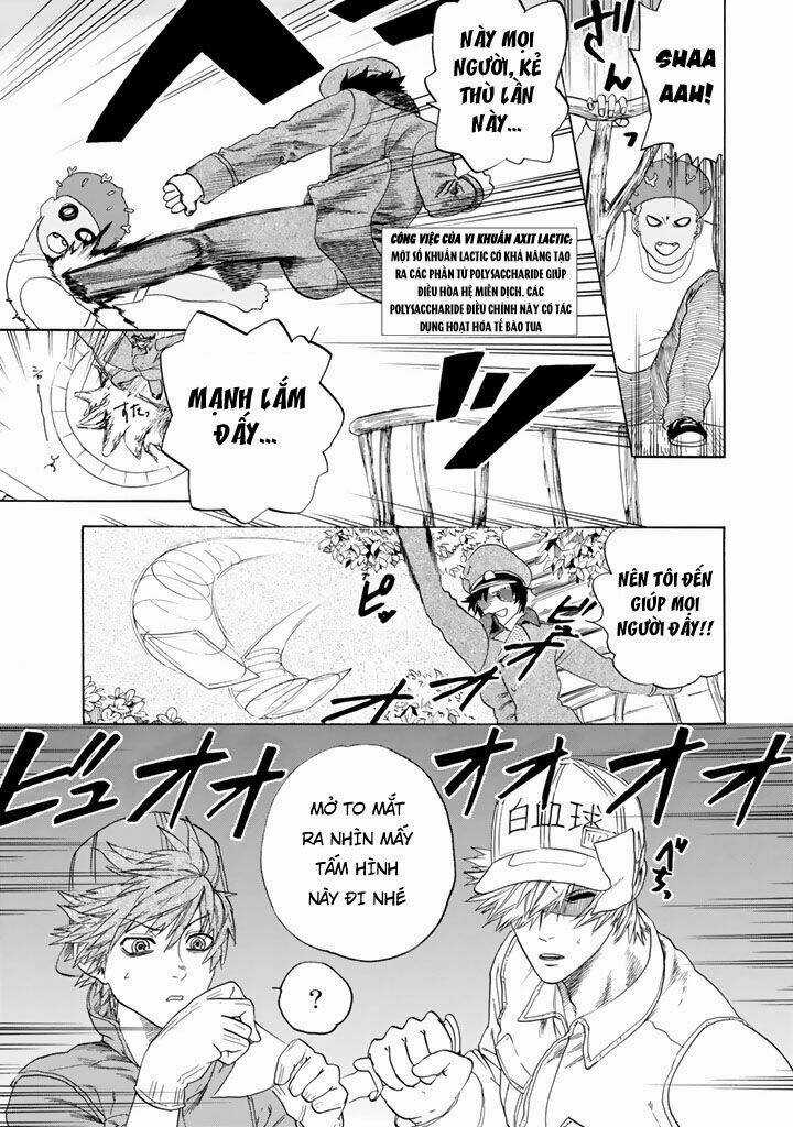 Hataraku Saibou! - Chapter 22 - Trang 15