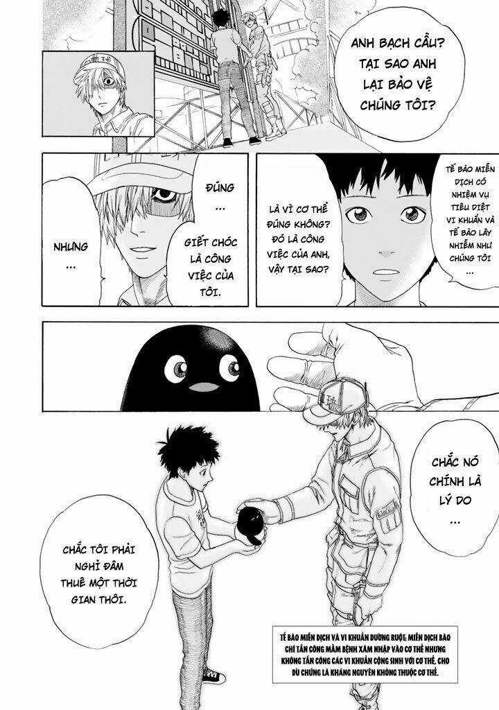 Hataraku Saibou! - Chapter 23 - Trang 12