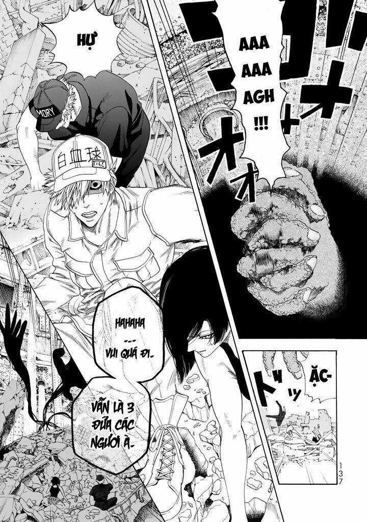 Hataraku Saibou! - Chapter 23 - Trang 31