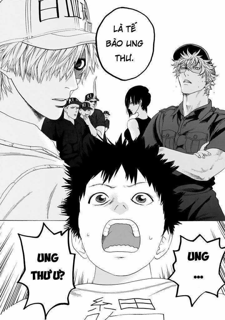 Hataraku Saibou! - Chapter 23 - Trang 10