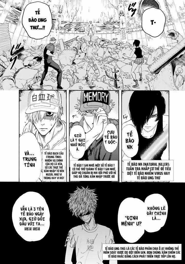 Hataraku Saibou! - Chapter 24 - Trang 1