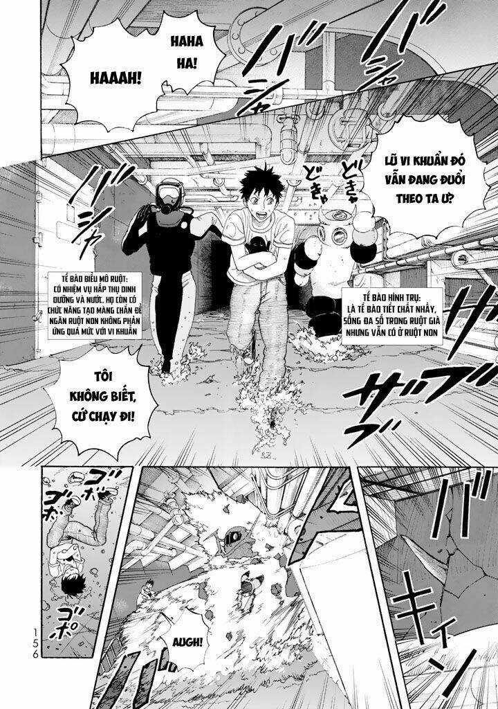 Hataraku Saibou! - Chapter 24 - Trang 16