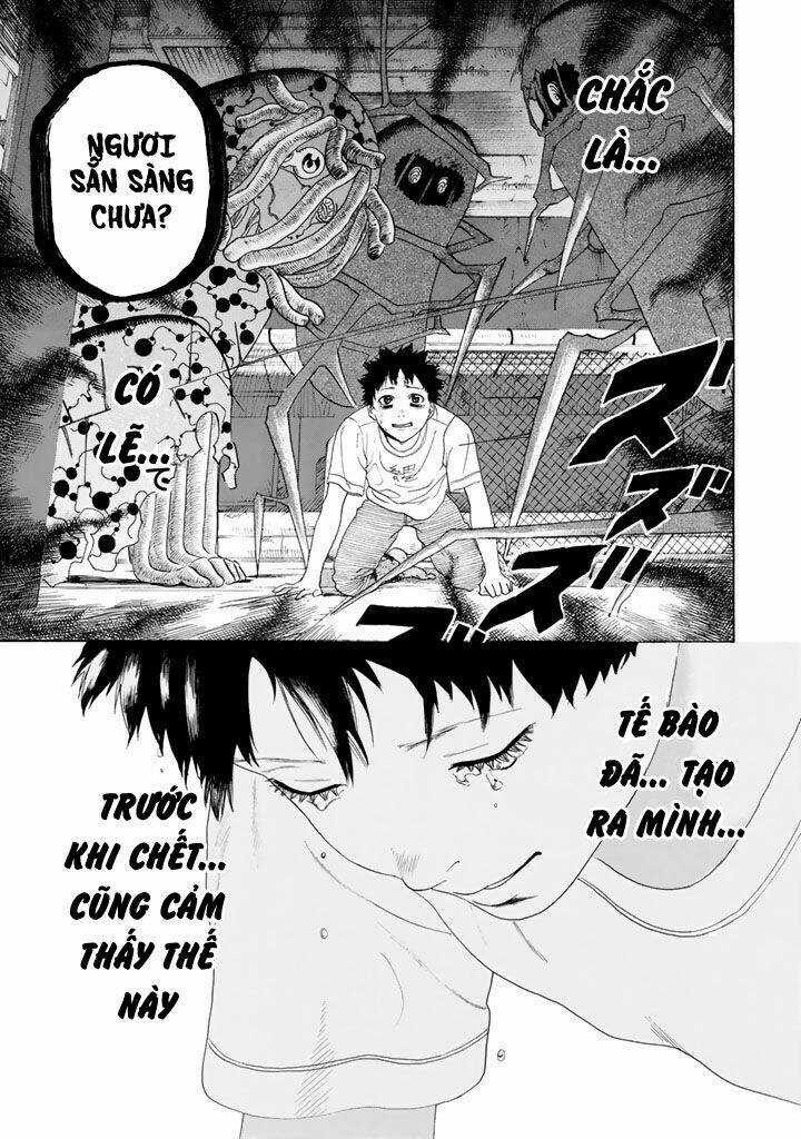 Hataraku Saibou! - Chapter 24 - Trang 23