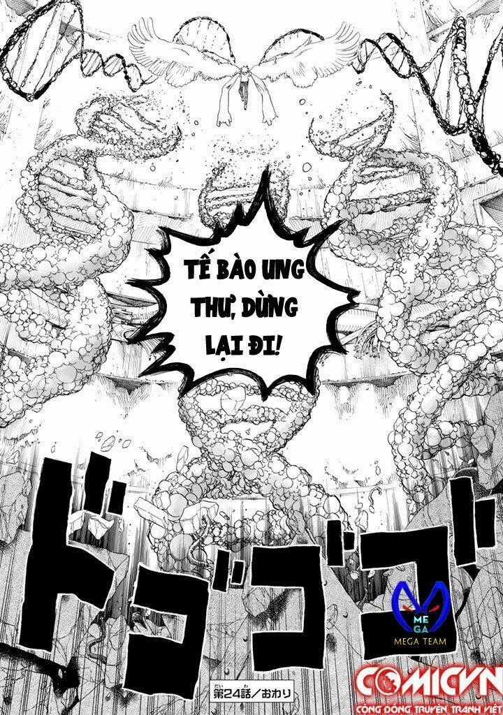 Hataraku Saibou! - Chapter 24 - Trang 33