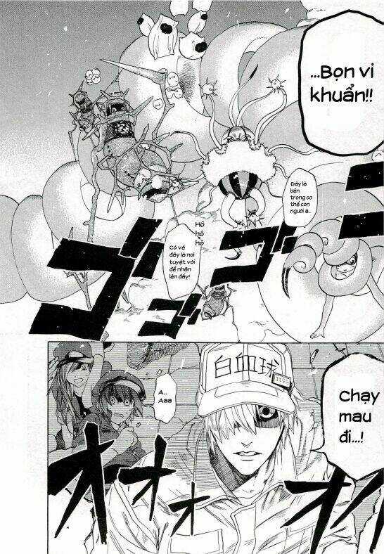 Hataraku Saibou! - Chapter 4 - Trang 12