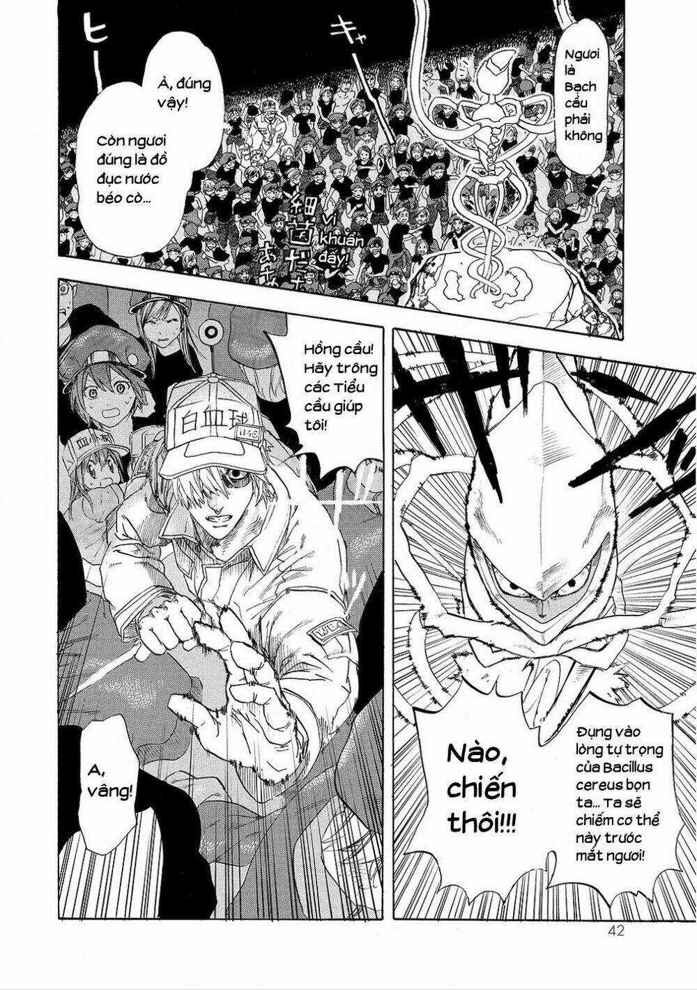 Hataraku Saibou! - Chapter 6 - Trang 13