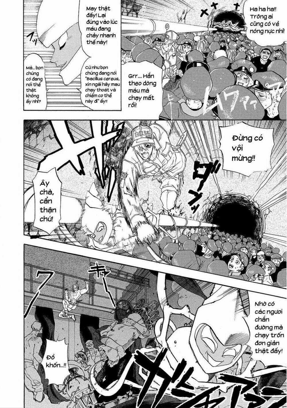 Hataraku Saibou! - Chapter 6 - Trang 15