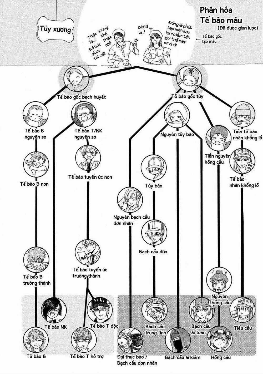 Hataraku Saibou! - Chapter 6 - Trang 33