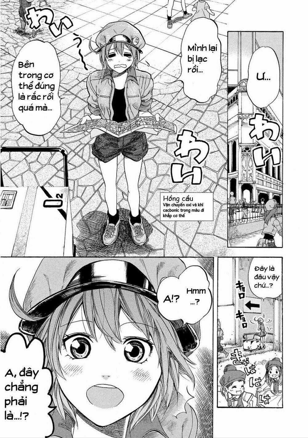 Hataraku Saibou! - Chapter 7 - Trang 1