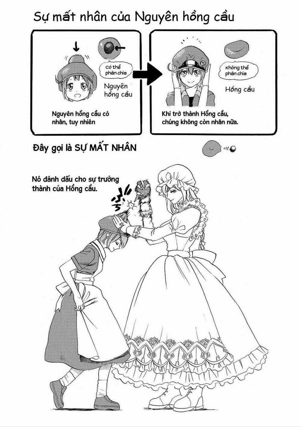 Hataraku Saibou! - Chapter 7 - Trang 31