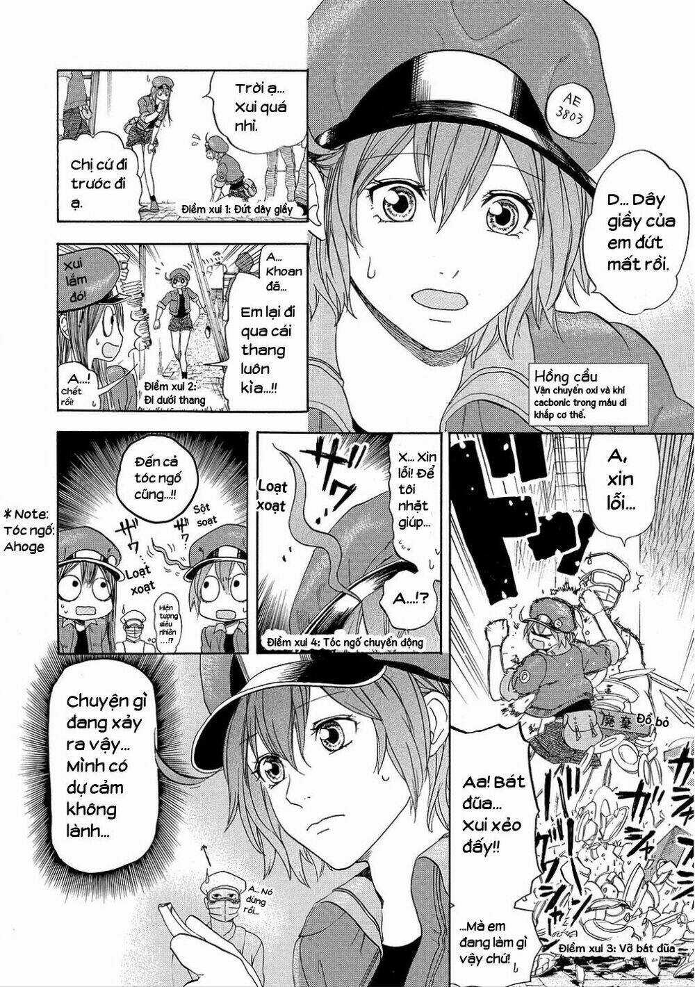 Hataraku Saibou! - Chapter 8 - Trang 17