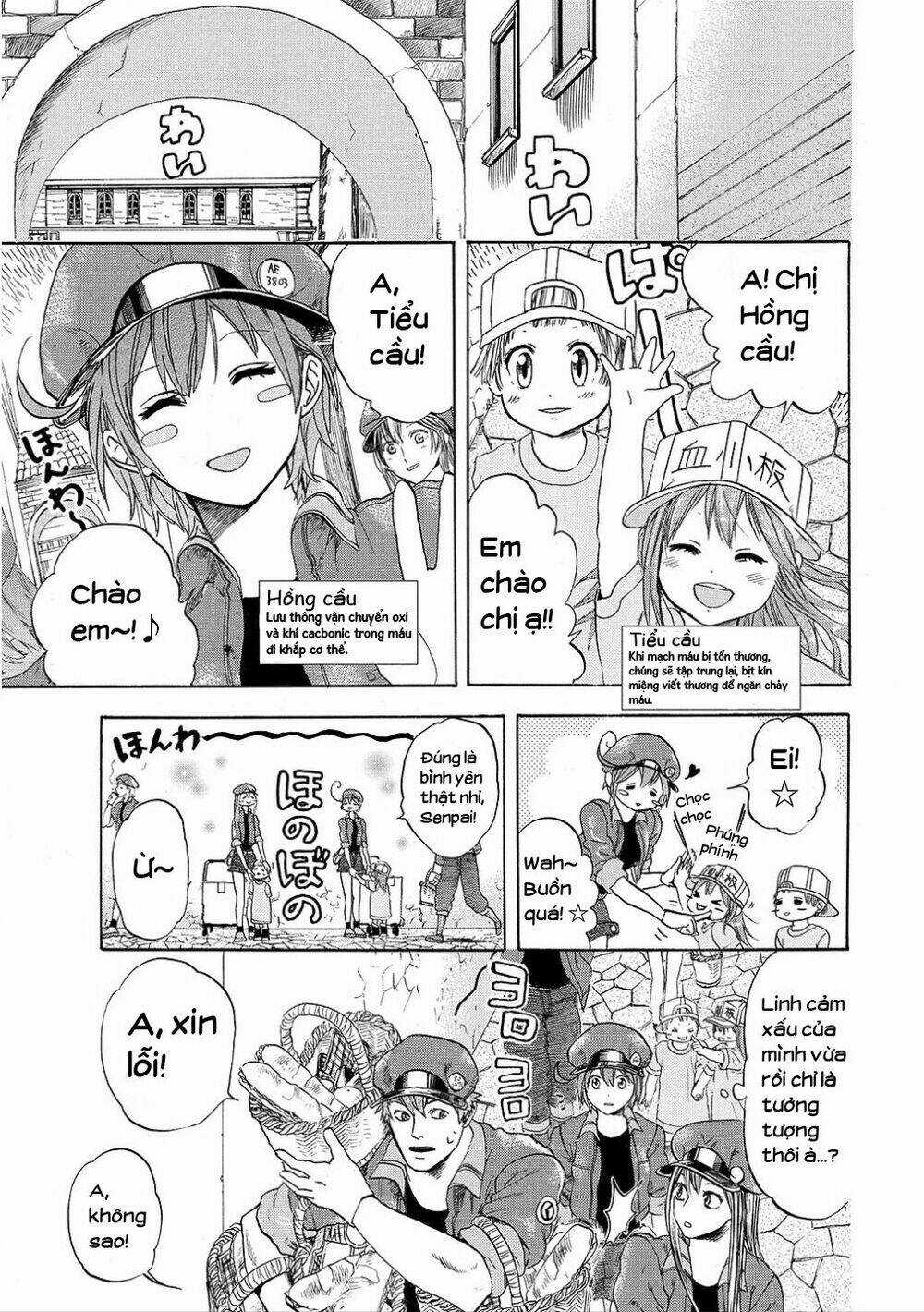 Hataraku Saibou! - Chapter 9 - Trang 19