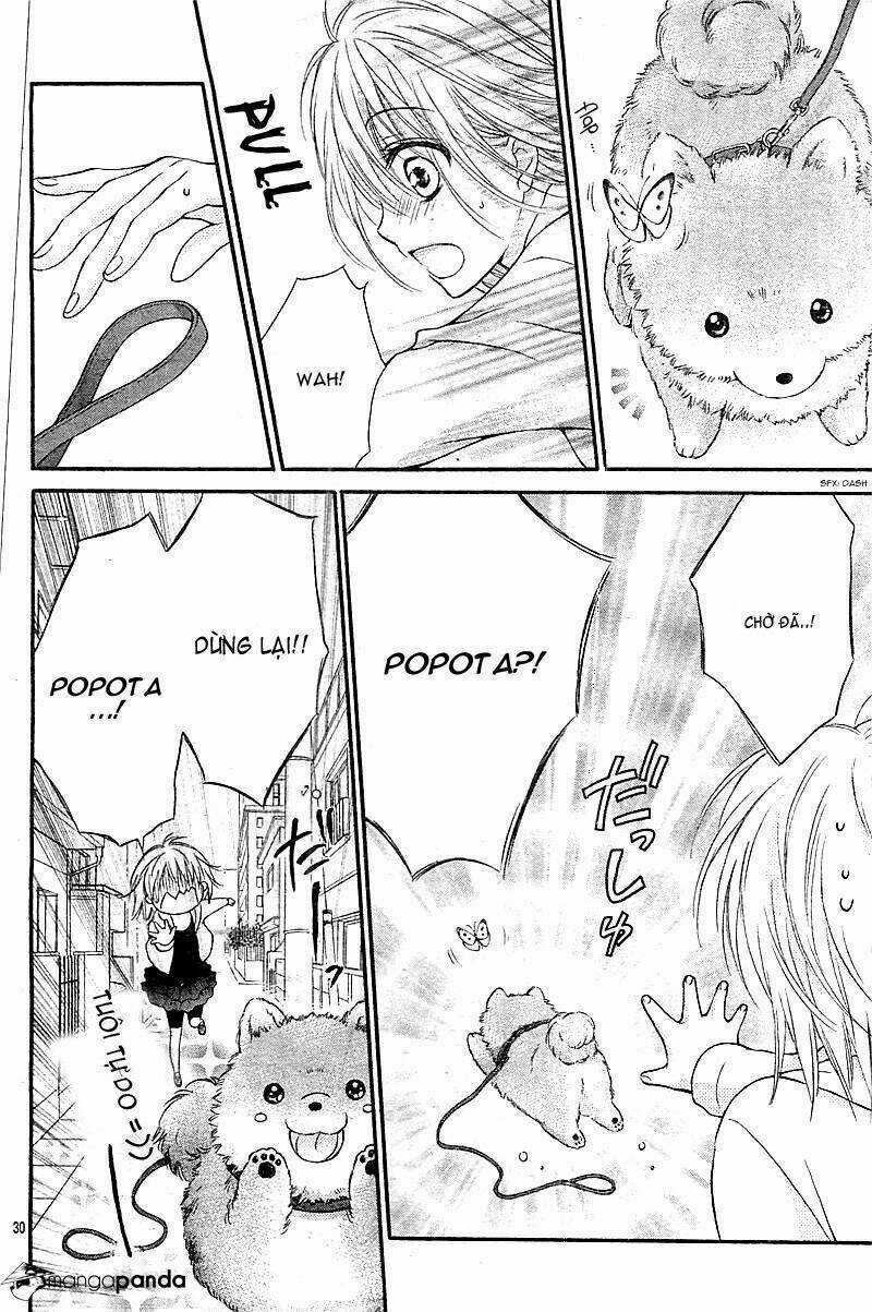 Hatsukoi Dandelion - Chapter 1 - Trang 33