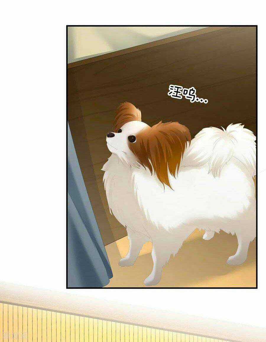 Hậu Cung Của Nữ Đế - Chapter 249 - Trang 7