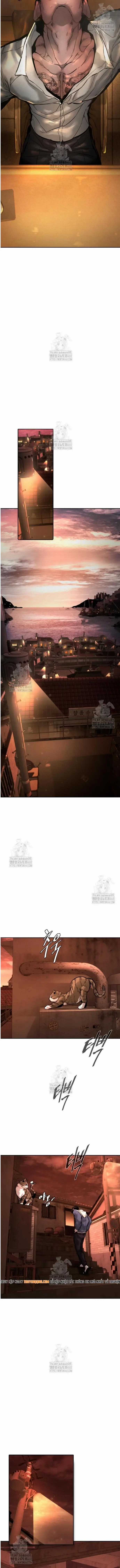 Hậu Duệ Ác Thần - Chương 11 - Trang 16