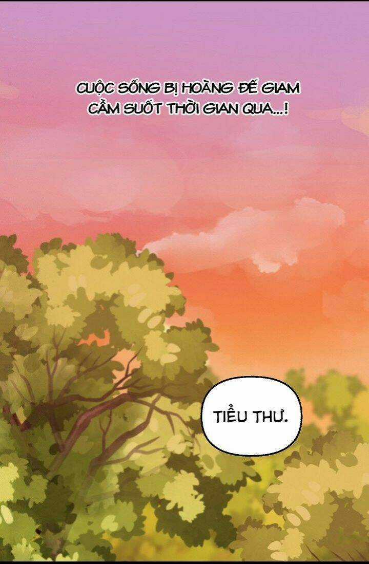 Hãy Bỏ Mặc Tôi - Chapter 25 - Trang 21