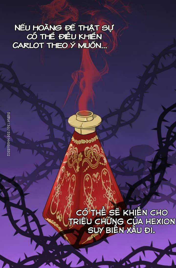 Hãy Bỏ Mặc Tôi - Chapter 43 - Trang 4