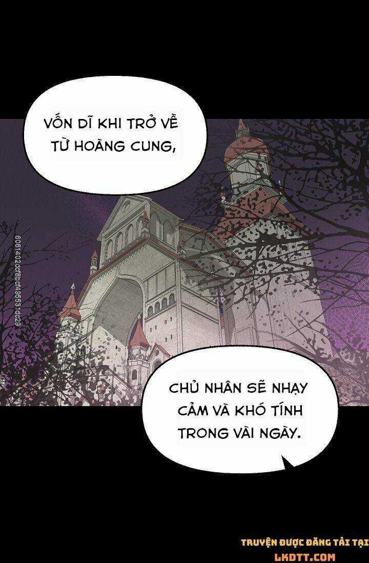 Hãy Bỏ Mặc Tôi - Chapter 45 - Trang 21