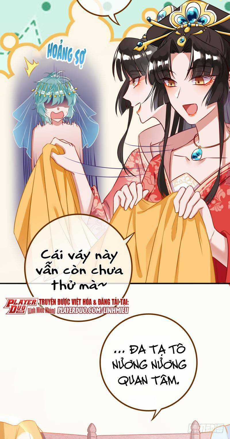 Hệ Thống Nghịch Tập - Chapter 8 - Trang 4