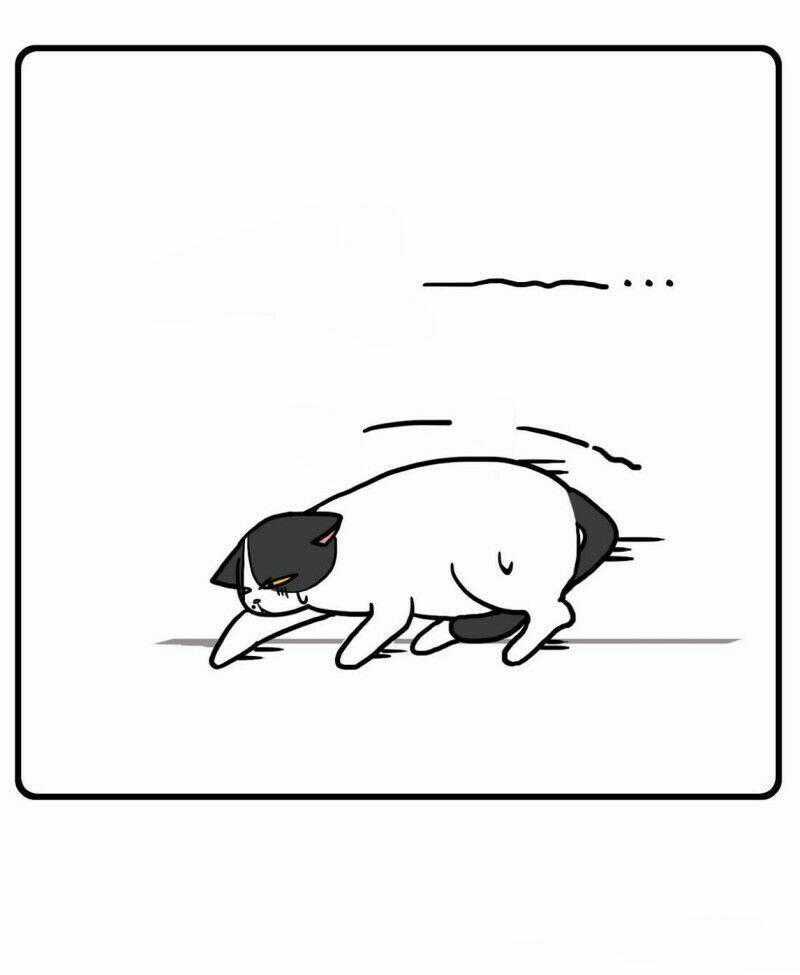 Hello Dư Tuyết Đặc - Chapter 1 - Trang 12