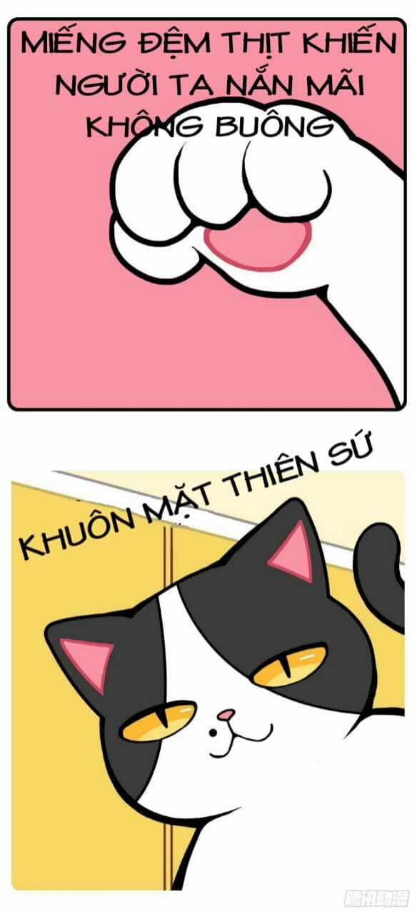 Hello Dư Tuyết Đặc - Chapter 1 - Trang 3