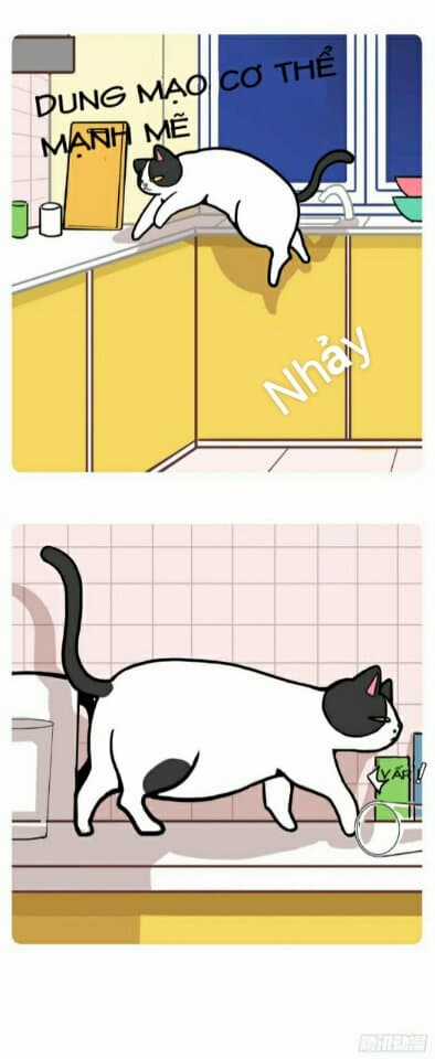 Hello Dư Tuyết Đặc - Chapter 1 - Trang 4