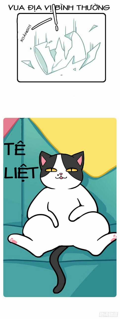 Hello Dư Tuyết Đặc - Chapter 1 - Trang 5