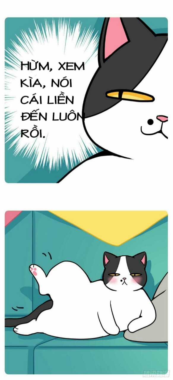 Hello Dư Tuyết Đặc - Chapter 1 - Trang 7