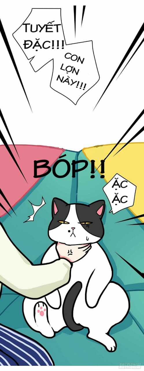 Hello Dư Tuyết Đặc - Chapter 1 - Trang 8