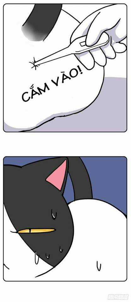 Hello Dư Tuyết Đặc - Chapter 2 - Trang 3