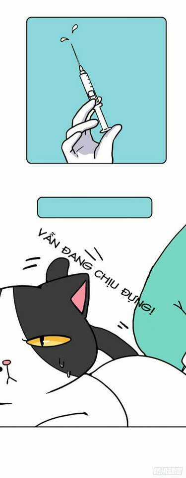 Hello Dư Tuyết Đặc - Chapter 2 - Trang 4