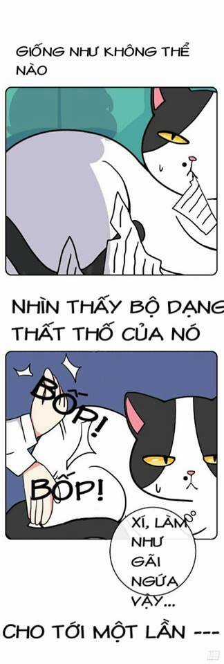 Hello Dư Tuyết Đặc - Chapter 2 - Trang 5