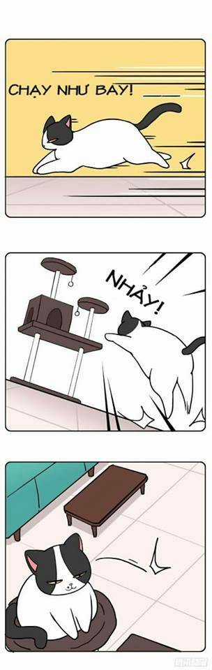 Hello Dư Tuyết Đặc - Chapter 2 - Trang 6