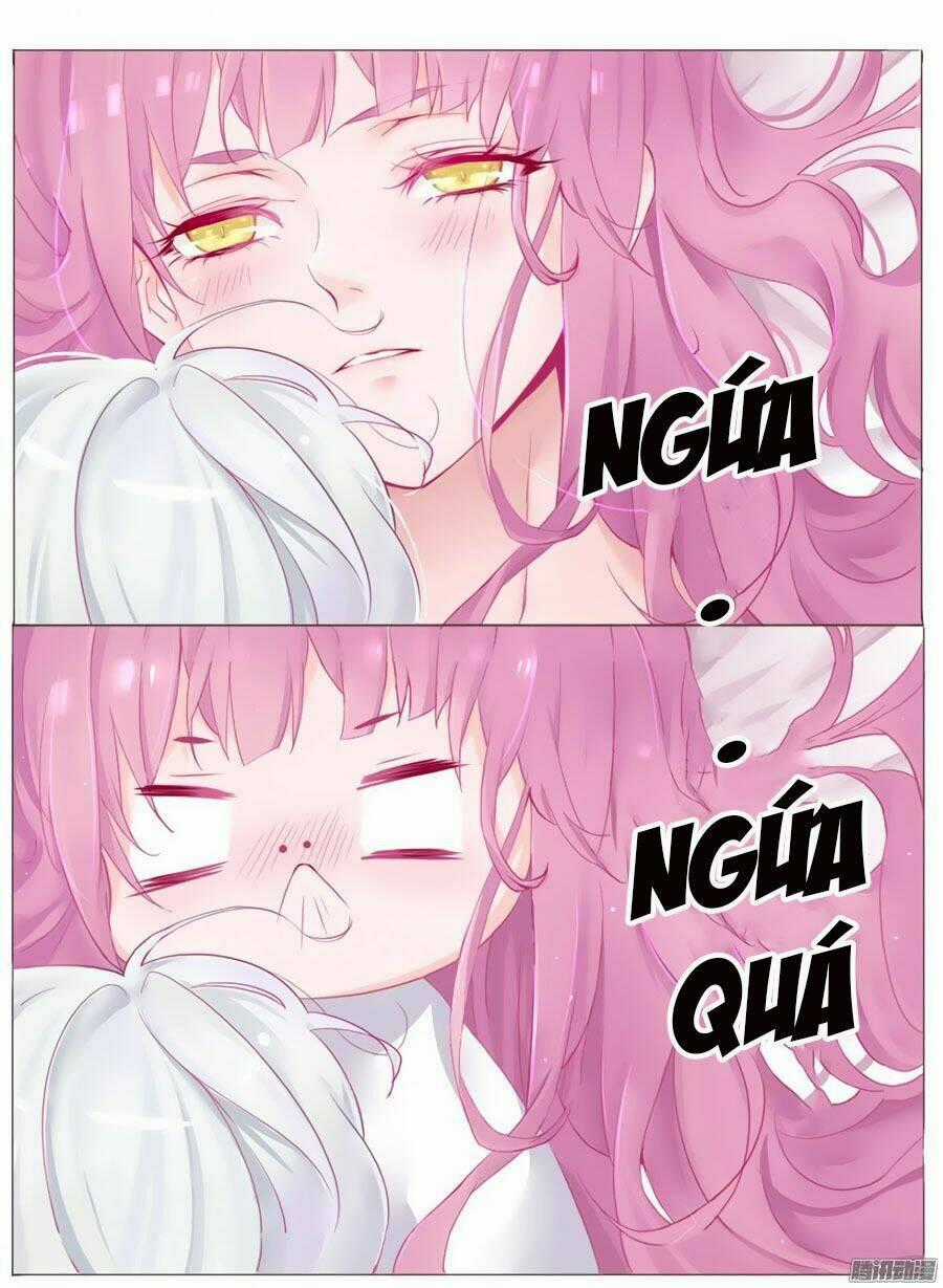 Hello Miêu Tiên Sinh - Chapter 1 - Trang 2