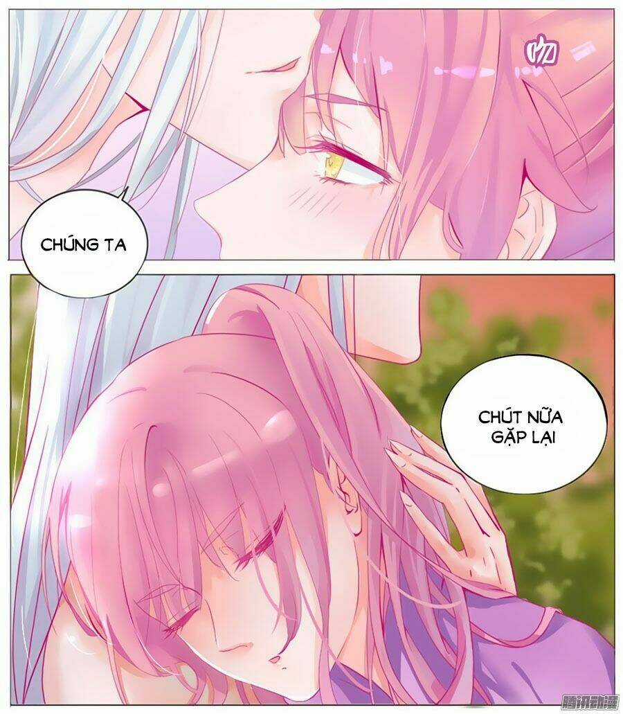 Hello Miêu Tiên Sinh - Chapter 1 - Trang 17