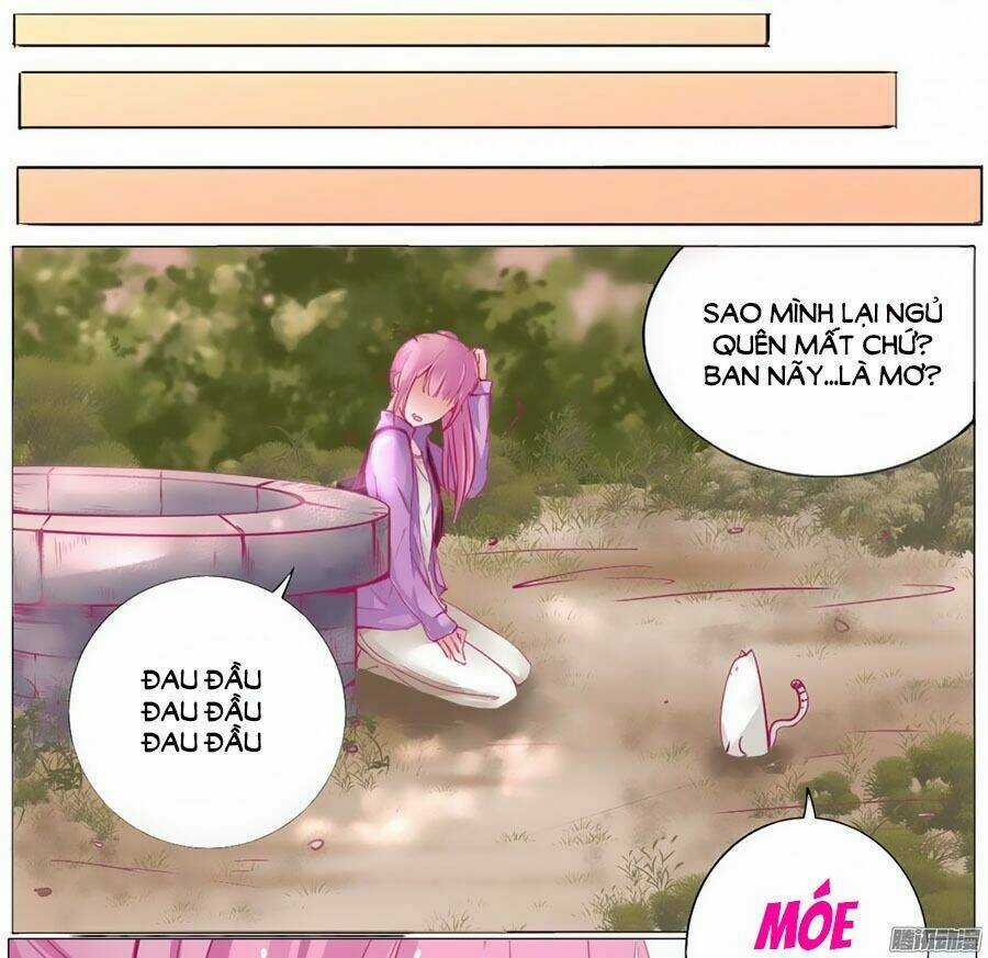 Hello Miêu Tiên Sinh - Chapter 1 - Trang 18
