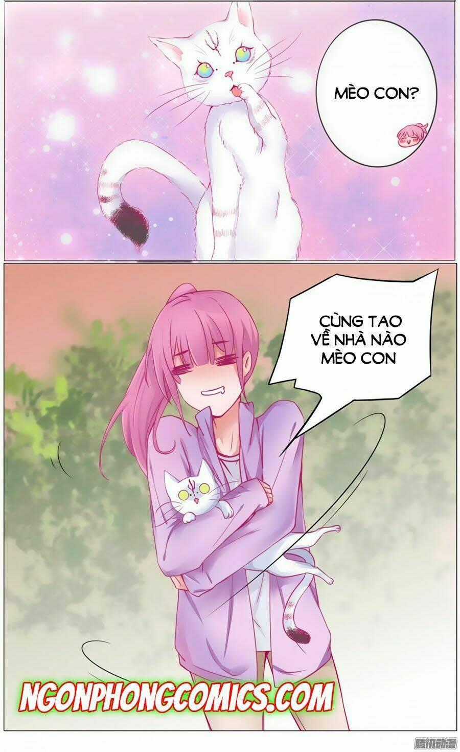 Hello Miêu Tiên Sinh - Chapter 1 - Trang 20