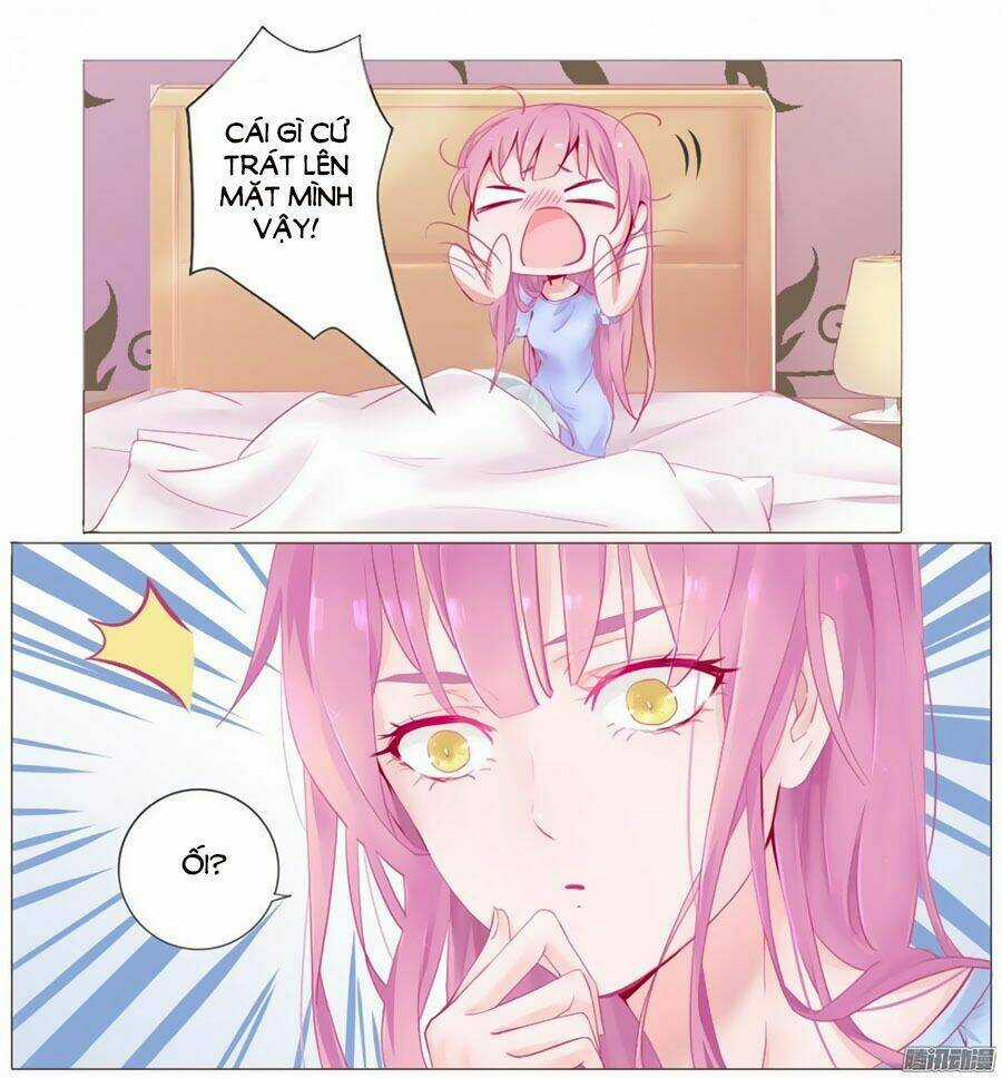 Hello Miêu Tiên Sinh - Chapter 1 - Trang 3