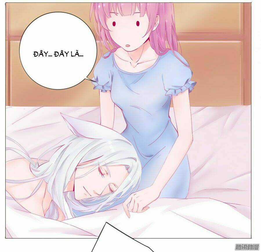 Hello Miêu Tiên Sinh - Chapter 1 - Trang 4